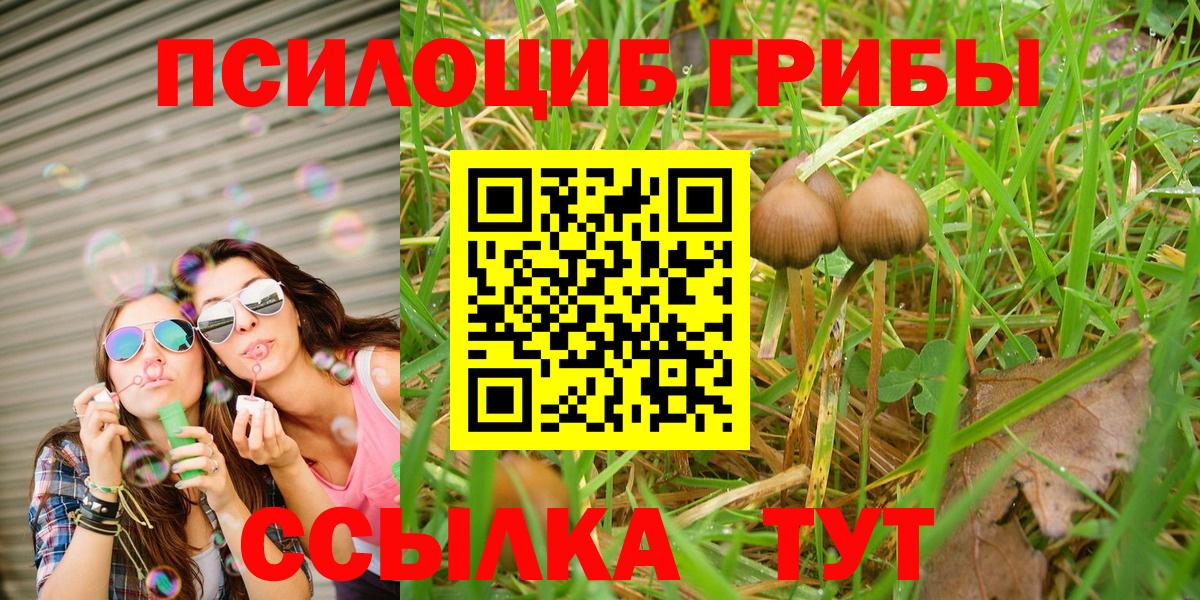 Галлюциногенные грибы ЛСД Лыткарино
