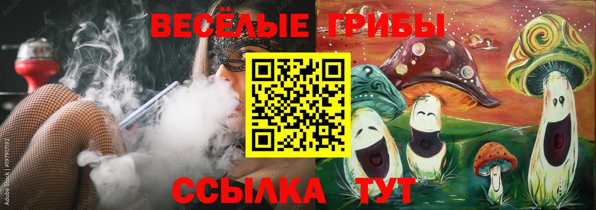 Лыткарино  Псилоцибиновые грибы GOLDEN TEACHER  Вход с VPN 